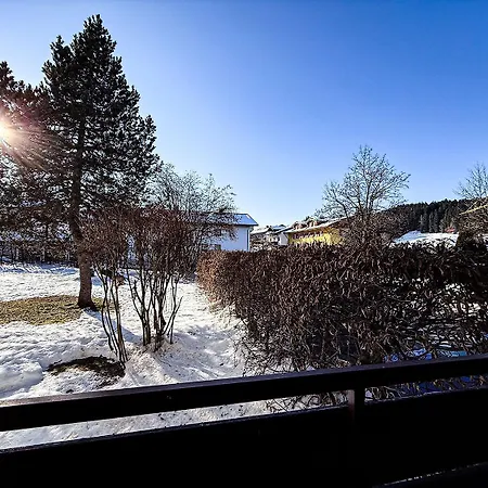 Staufenhirsch Mit Apartman