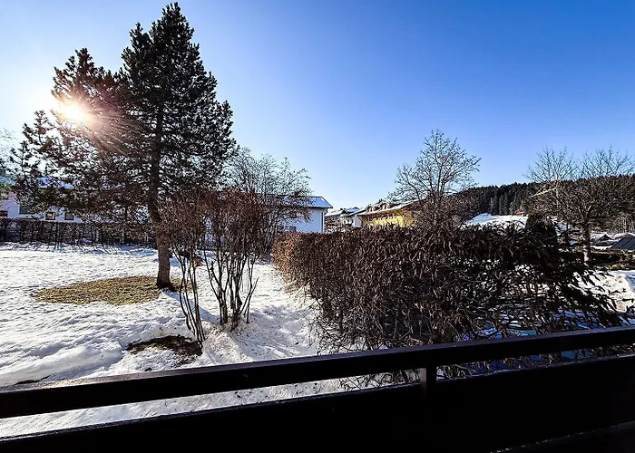 Staufenhirsch Mit Apartment